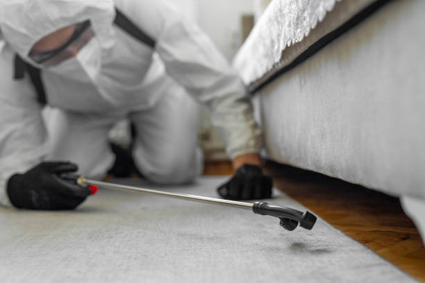 Professional Wasp Control technician working in Samsula-Spruce Creek, FL