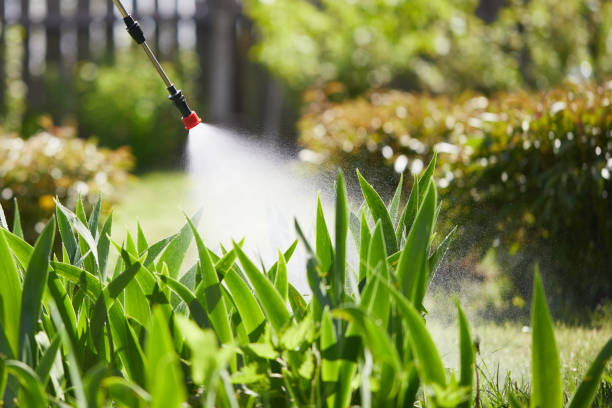 24/7 Emergency Mosquito Control experts in Samsula-Spruce Creek, FL