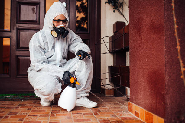 Reliable Mosquito Control contractor in Samsula-Spruce Creek, FL by Nex Pest Control