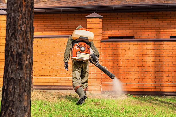 Trusted Cockroach Control service in Samsula-Spruce Creek, FL - Nex Pest Control